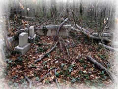grave plot with fallen limbs